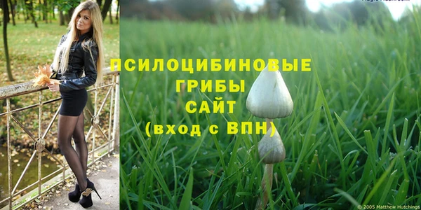 PSILOCYBIN Верхний Тагил